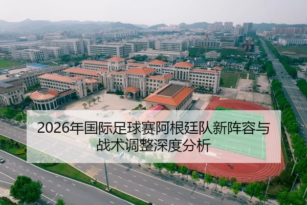 2026年国际足球赛阿根廷队新阵容与战术调整深度分析
