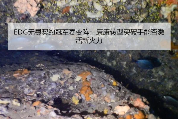 wu-wei-qi-yue-guan-jun-sai-bian-zhen-kang-kang-zhuan-xing-tu-po-shou-neng-fou-ji-huo-xin-huo-li-3-304.jpg